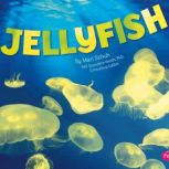 Jellyfish, Mari Schuh
