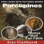 Porcupines Photos and Fun Facts for Kids, Isis Gaillard