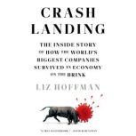 Crash Landing, Liz Hoffman