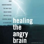Healing the Angry Brain, Ronald PotterEfron, PhD