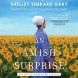 An Amish Surprise, Shelley Shepard Gray
