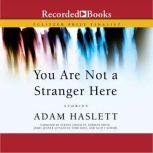 You Are Not A Stranger Here Stories, Adam Haslett