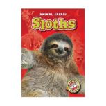 Sloths, Megan BorgertSpaniol