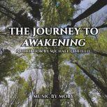The Journey to Awakening, Michael Lanfield