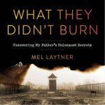 What They Didnt Burn, Mel Laytner