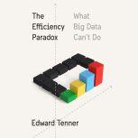 The Efficiency Paradox, Edward Tenner