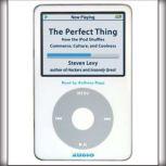 The Perfect Thing, Steven Levy