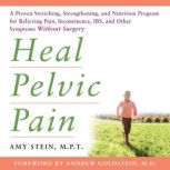 Heal Pelvic Pain, Amy Stein