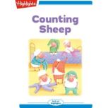 Counting Sheep, Heidi Bee Roemer