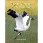 Majestic Migration, Lori Polydoros