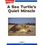 A Sea Turtles Quiet Miracle, Lorraine A. Jay