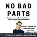 Summary No Bad Parts, Brooks Bryant