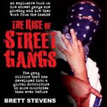 The Rise of Street Gangs, Brett Stevens