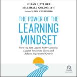 The Power of the Learning Mindset, Lilian Ajayi Ore