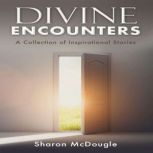 DIVINE ENCOUNTERS, Sharon McDougle