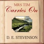 Mrs Tim Carries On, D. E. Stevenson