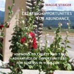 Creating Opportunities for Abundance, Maggie Staiger
