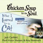 Chicken Soup for the Soul What I Lea..., Jack Canfield