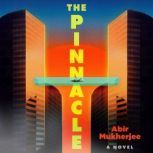 The Pinnacle, Abir Mukherjee