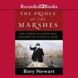 The Prince of the Marshes, Rory Stewart