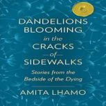 Dandelions Blooming in the Cracks of ..., Amita Lhamo