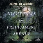 Night Falls on Predicament Avenue, Jaime Jo Wright
