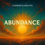 Abundance Book Summary  Analysis, Briefly Summaries