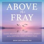 Above the Fray, Brian Luke Seaward