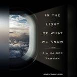 In the Light of What We Know, Zia Haider Rahman