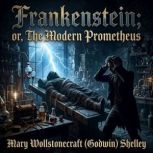 Frankenstein or, the modern promethe..., Mary Wollstonecraft Godwin Shelley