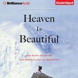 Heaven Is Beautiful How Dying Taught Me That Death Is Just the Beginning, Peter Baldwin Panagore