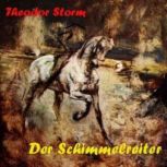 Der Schimmelreiter, Theodor Storm