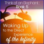 Think of an Elephant Book 5: WAKING UP TO THE DIRECT EXPERIENCE OF THE INFINITY, Paul G. Bailey