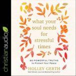 What Your Soul Needs for Stressful Ti..., Holley Gerth