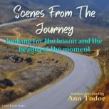 Scenes From The Journey, Ann Tudor