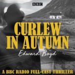 Curlew in Autumn, Edward Boyd