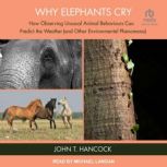 Why Elephants Cry, John T. Hancock