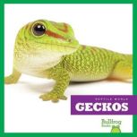 Geckos, Vanessa Black