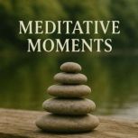 Meditative Moments Book summary  an..., Zane Wilder