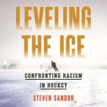 Leveling the Ice, Steven Sandor