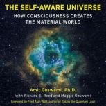 The SelfAware Universe, Amit Goswami