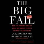 The Big Fail, Joe Nocera
