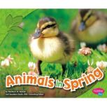 Animals in Spring, Martha Rustad