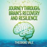 Journey Through a Brains Recovery an..., Theodore Vale