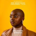The Chronicles of a NonBinary Black ..., Ndiilokelwa Nthengwe