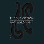 The Submission, Amy Waldman