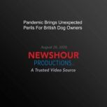 Pandemic Brings Unexpected Perils For..., PBS NewsHour