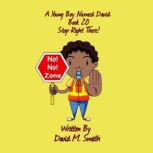 A Young Boy Named David Book 20, David M. Smith