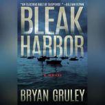 Bleak Harbor, Bryan Gruley