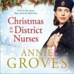 Christmas for the District Nurses, Annie Groves